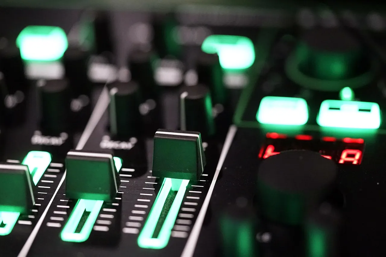 DJ Voicelove u Skadarliya restoranu