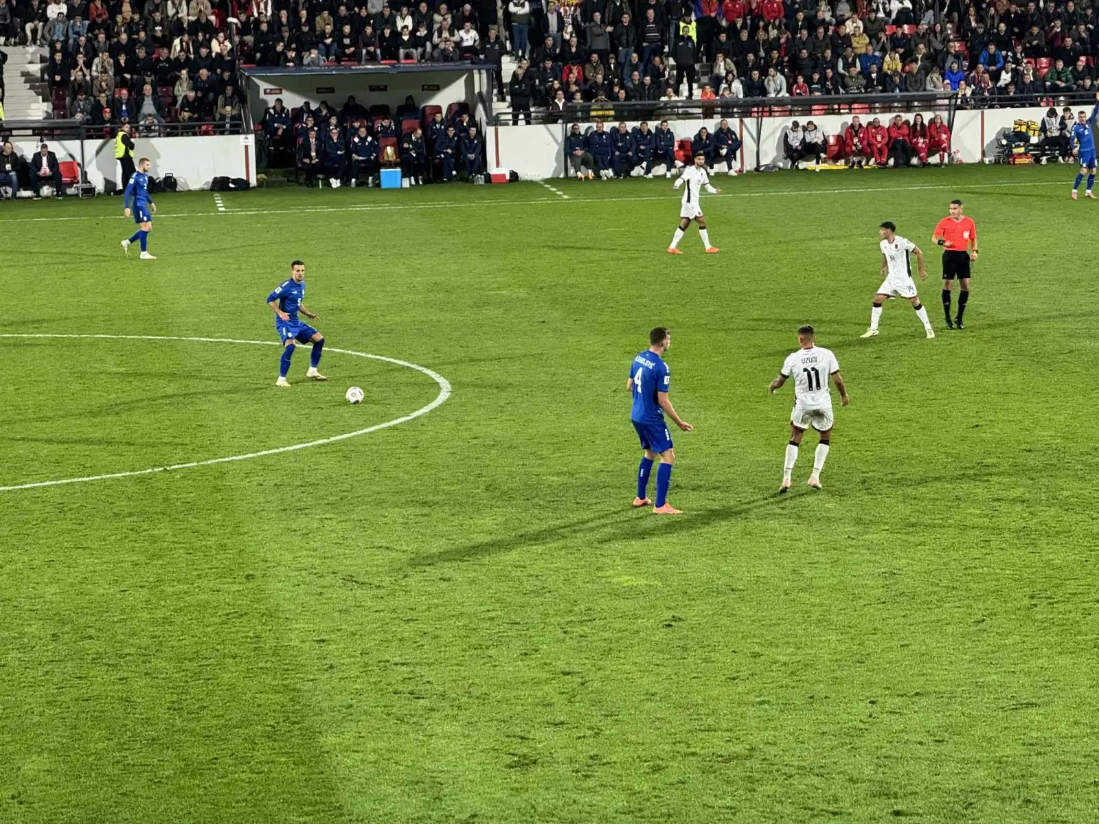 Detalj sa meča Srbija - Albanija 0:1, foto: USA Danas